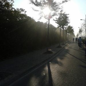 少妇看A片自慰呻吟
