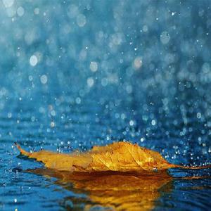 少妇看A片自慰呻吟
